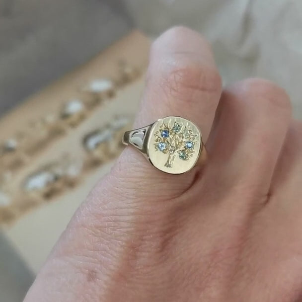 Anillo de árbol genealógico con piedras de nacimiento