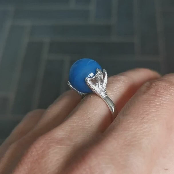 Anillo piquero de patas azules