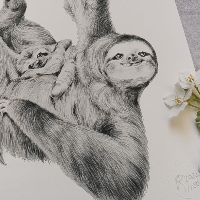 Sloth Art Print