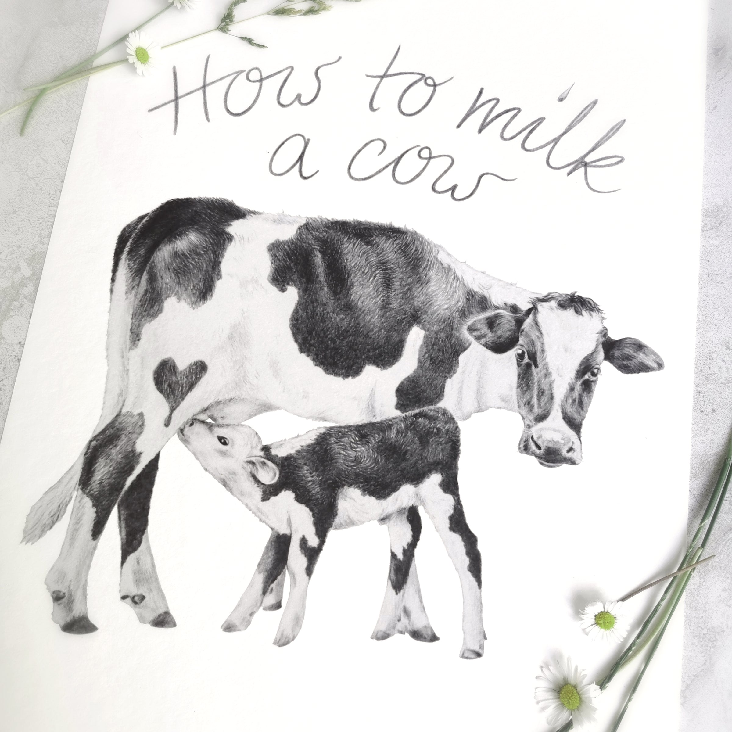 Cow Art Print