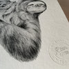 Sloth Art Print